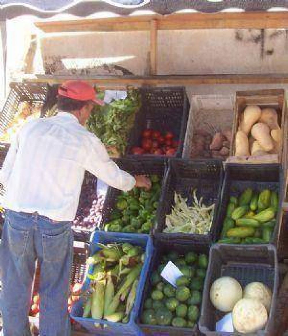 Intentan bajar el precio de verduras