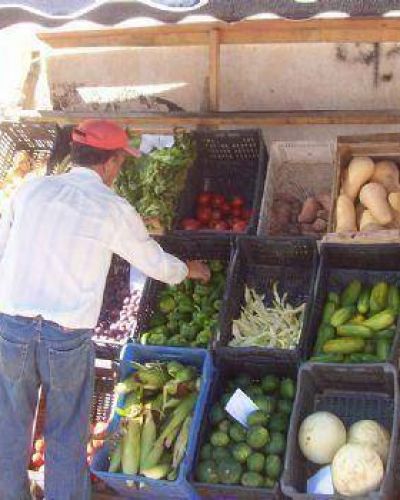 Intentan bajar el precio de verduras