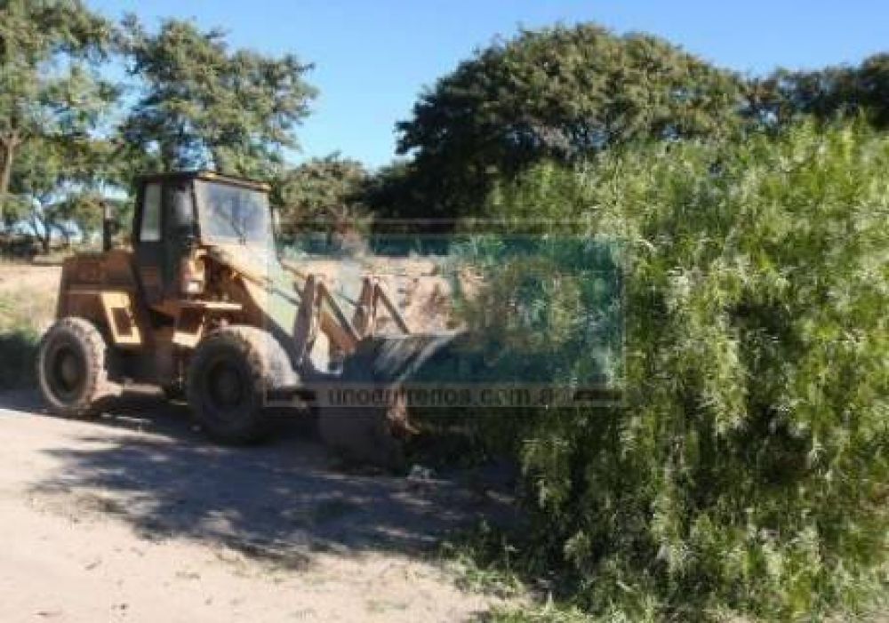 Dictaron un fallo contra la Comuna por el desmonte del Parque Nuevo