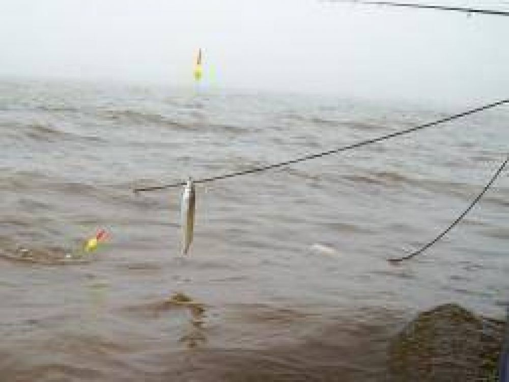 Jun�n: Comenz� la veda de pesca