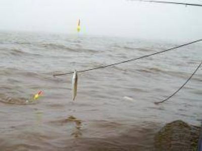 Jun�n: Comenz� la veda de pesca