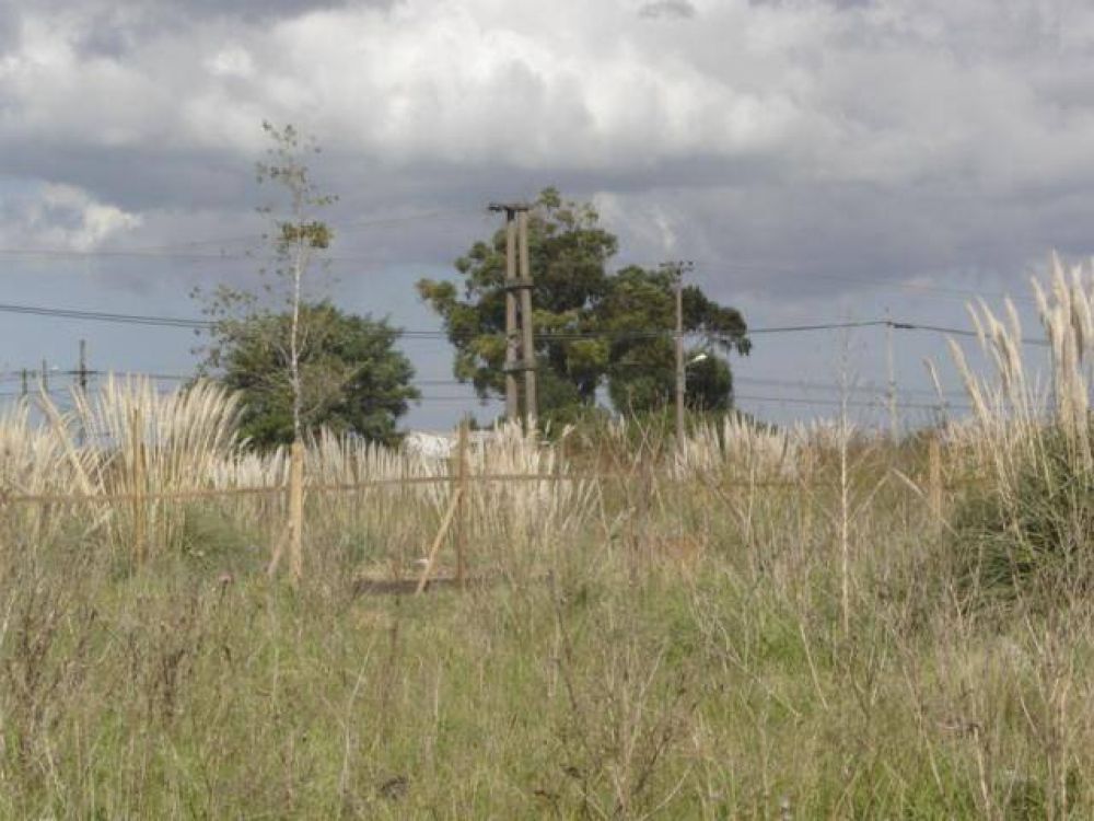 Sigue la usurpaci�n de terrenos en distintos puntos de la ciudad