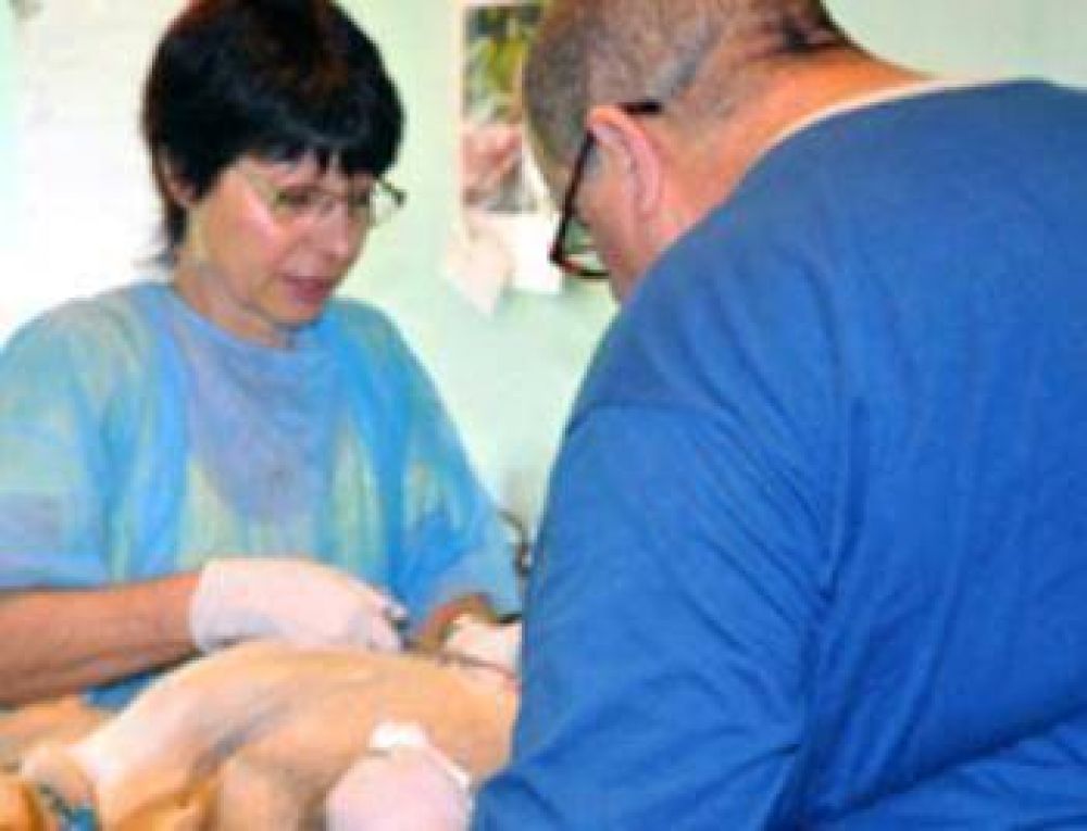 En el mes de agosto Aplicaron m�s de 600 vacunas