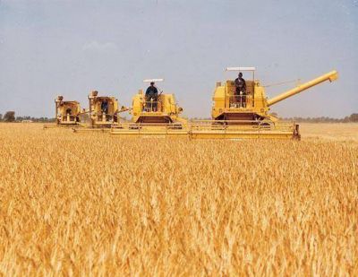 Adhesi�n al plan estrat�gico agroalimentario y agroindustrial participativo y federal