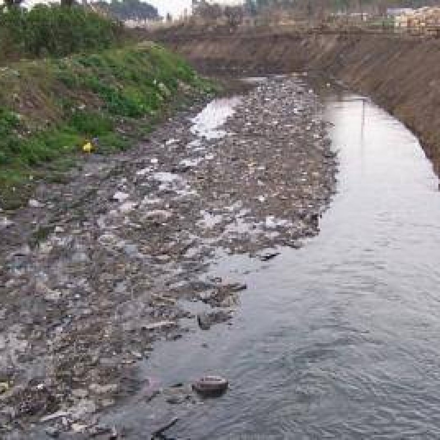 Preocupante estudio sobre la contaminación del arroyo Las Piedras – San  Francisco en Quilmes