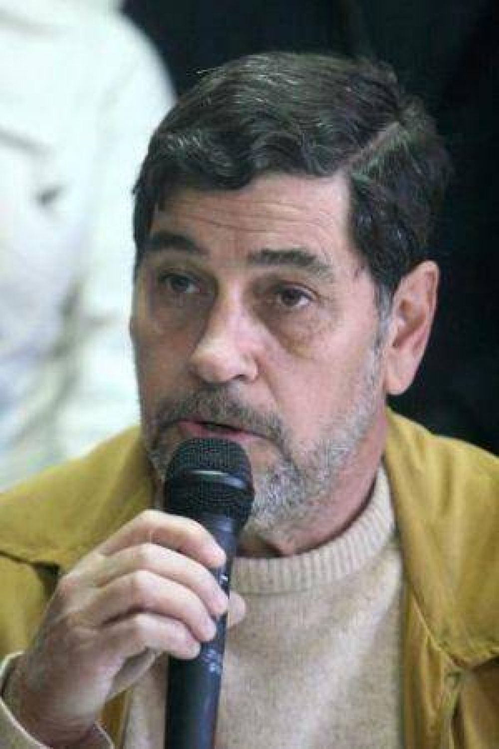 El ex secretario de Obras P�blicas dice tambi�n que el electroducto no produce da�o ambiental