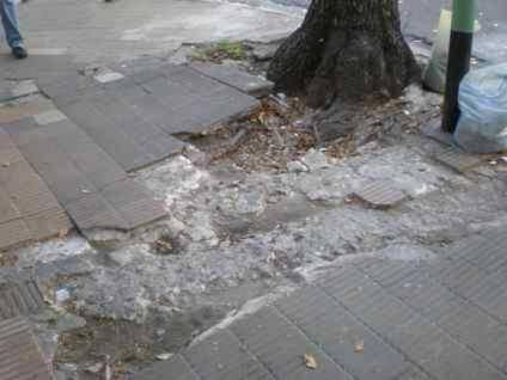  En los pr�ximos d�as Comienza el relevamiento �Veredas de la ciudad�