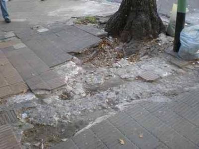 En los pr�ximos d�as Comienza el relevamiento �Veredas de la ciudad�