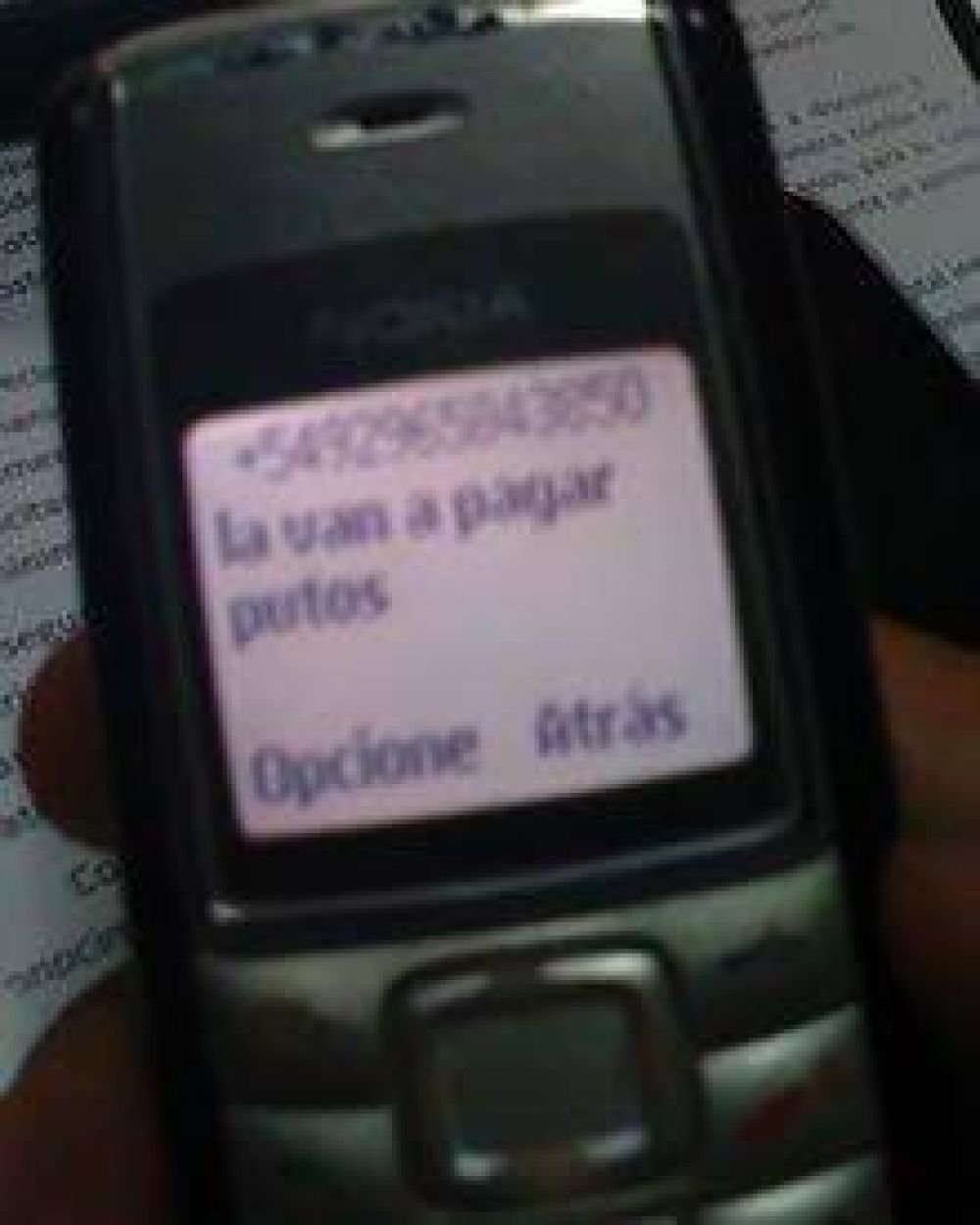 Las amenazas del modelo