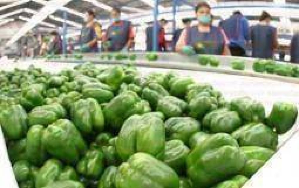 Empresa estatal busca exportar su producci�n al viejo continente