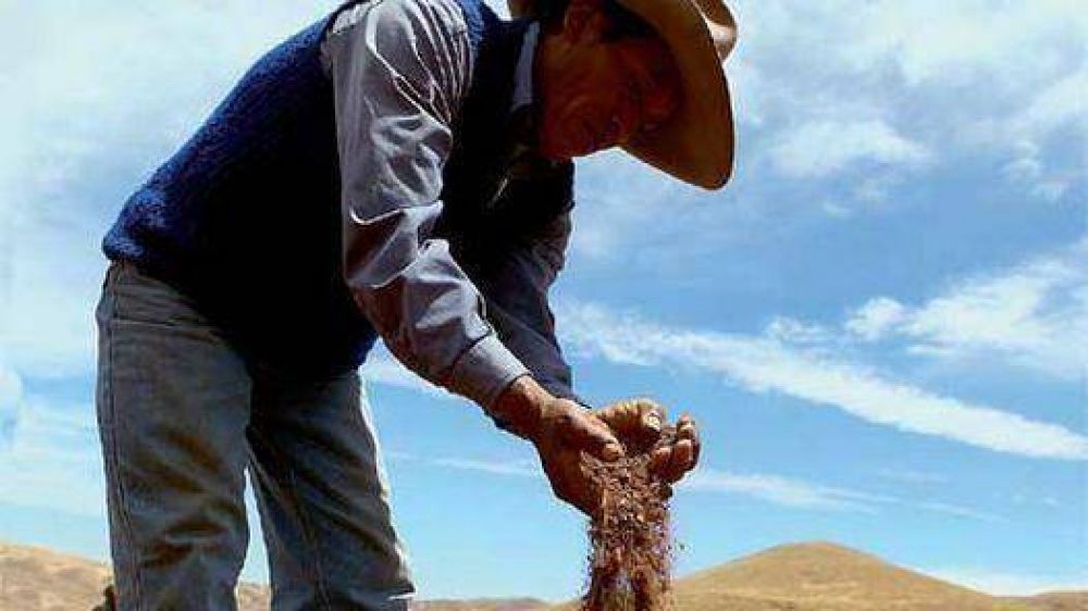 La tierra se seca y crece la lucha por el agua en Los Andes