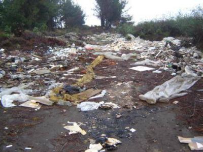 Medio ambiente  Francisco De Narv�ez busca basurales clandestinos en la provincia y ya encontr� dos en Pilar