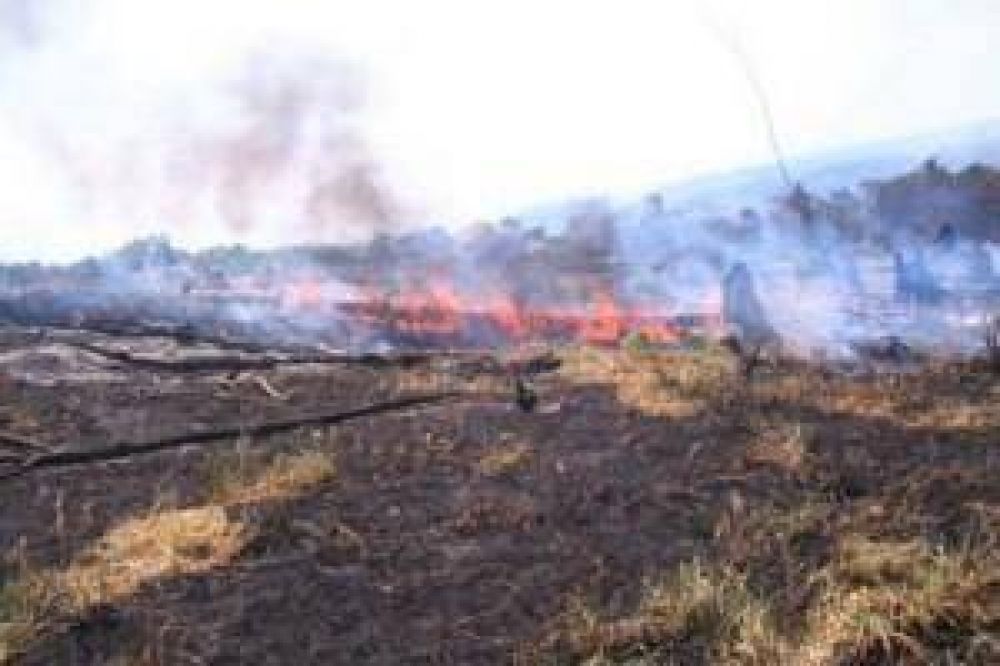 Incendio afecta a m�s de 100 hect�reas de bosques nativos 