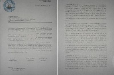 C�mara Baja nacional Ex YPFiafianos: La ley tan esperada ya tiene nombre y n�mero 