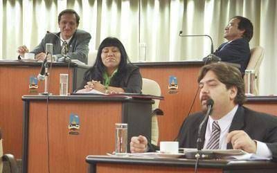 Salud y seguridad volvieron a captar la atenci�n del Concejo