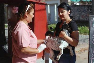 Comenz� una importante Campa�a de Vacunaci�n Antirr�bica