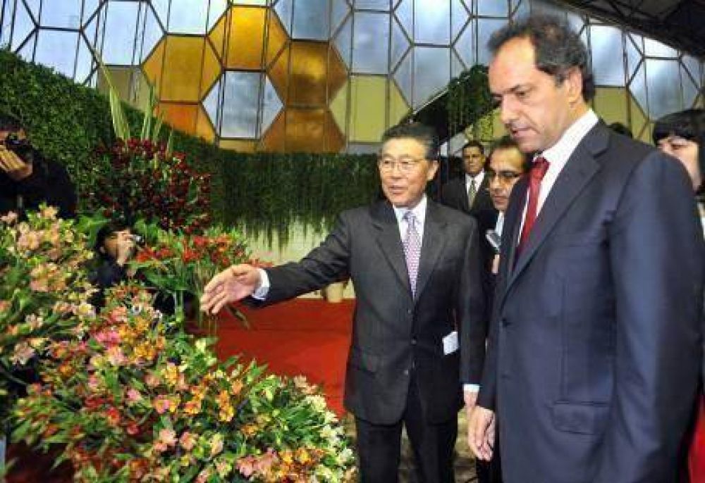 Scioli ahora analiza presentarse como candidato a presidente en 2011