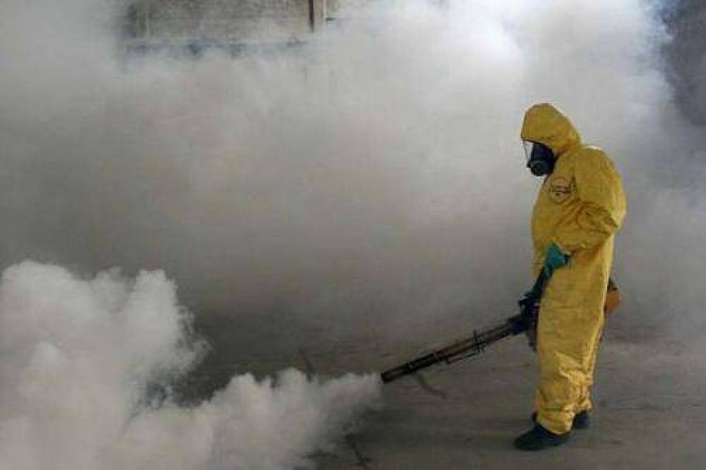 La Municipalidad diagrama acciones de lucha contra el dengue