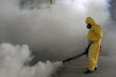 La Municipalidad diagrama acciones de lucha contra el dengue