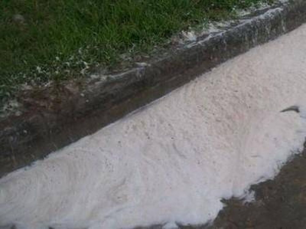Pura espuma