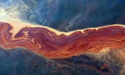 Afirman que la mitad del crudo vertido por BP sigue en el Golfo