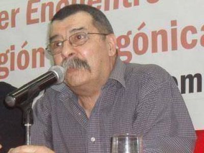 Mart�nez asegur� que no peligra ni la mina ni la mega usina