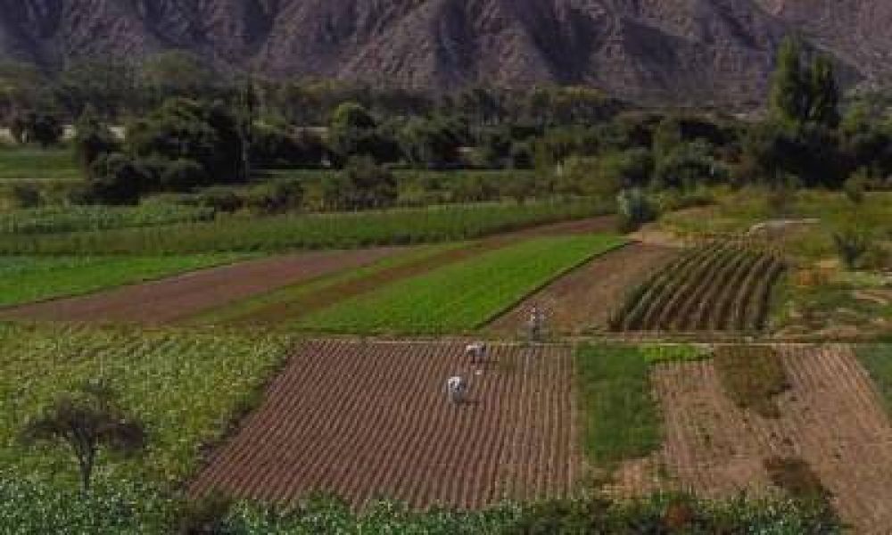Emergencia h�drica: el Gobierno quiere avanzar en el riego artificial
