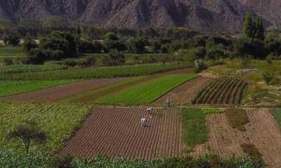 Emergencia h�drica: el Gobierno quiere avanzar en el riego artificial