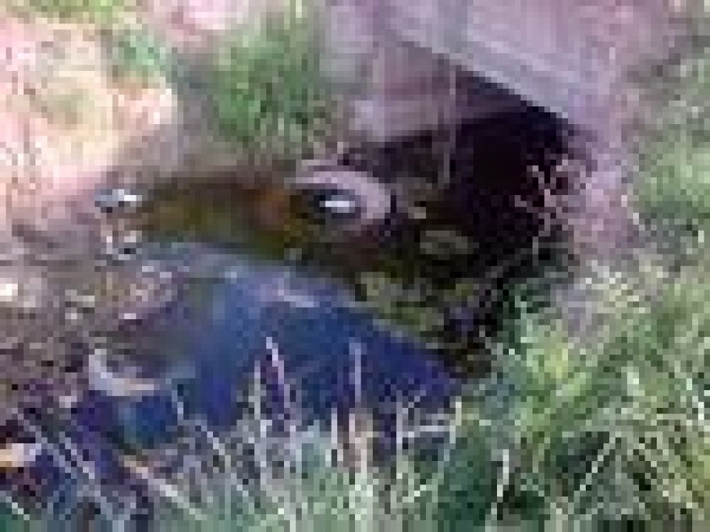 Canales a cielo abierto: piden limpieza y fumigaci�n 