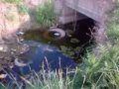 Canales a cielo abierto: piden limpieza y fumigaci�n 