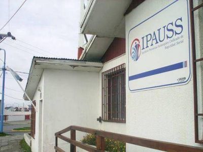 Mientras se resuelve la modalidad definitiva de contrataci�n