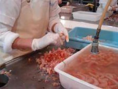 Nuevo desarrollo para el aprovechamiento de desechos pesqueros