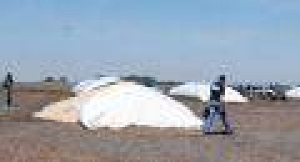 Intenso tiroteo entre polic�as y malvivientes en un campo de Villa Saboya, General Villegas 
