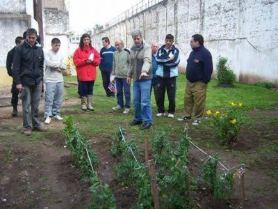 Se entregaron kits de semillas del programa Pro Huerta del INTA en la Unidad Penal 5