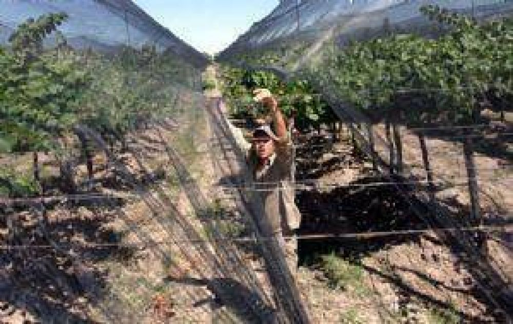 Seguro agr�cola 2010-2011: mayores indemnizaciones y m�s superficie