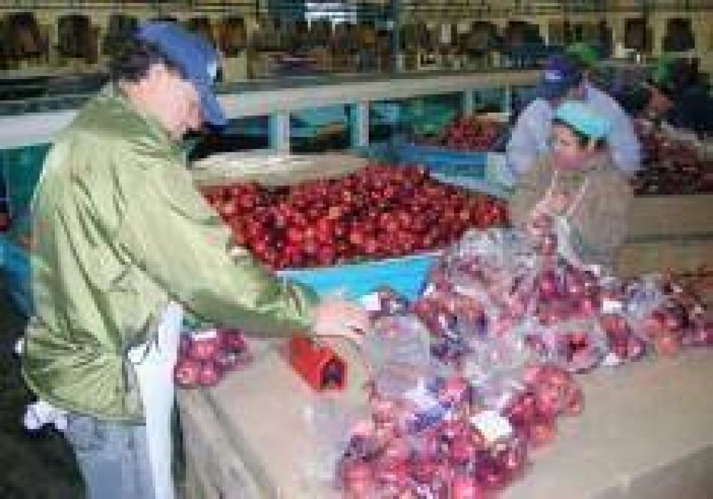 El Sindicato de la Fruta y CAFI tratar�n de acercar posiciones