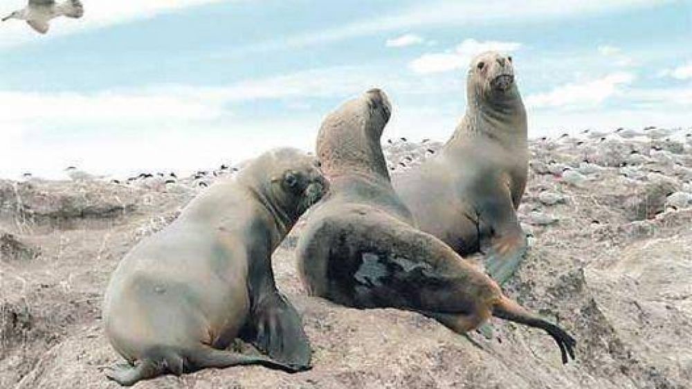  Argentina, entre los 10 pa�ses m�s ricos en recursos naturales