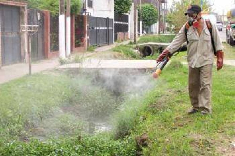 �Qu� hacer? Aumentan las temperaturas y el miedo por el Dengue crece