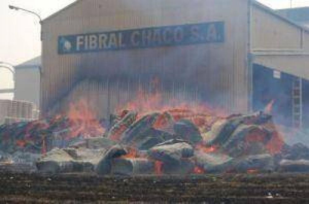 El fuego ocasion� p�rdidas millonarias en la producci�n 