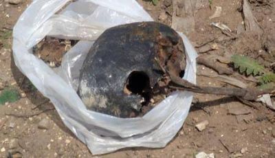 Hallan restos humanos  Se trata de un cr�neo y mand�bula aparentemente quemado