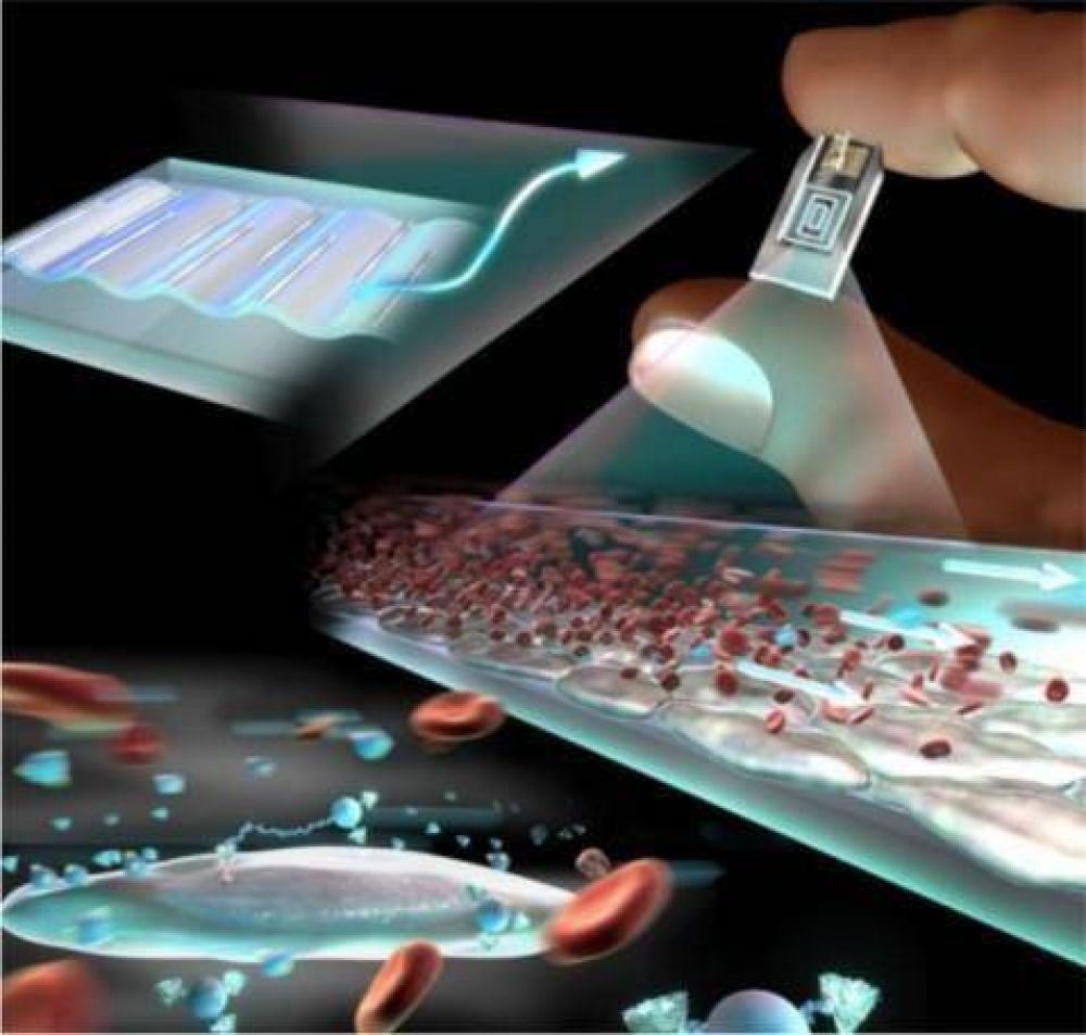 Jornadas de Difusi�n  NANO-BIOTECNOLOG�A APLICADA A LA INDUSTRIA DEL ALIMENTO