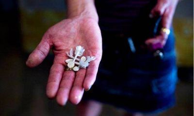 Ya entr� en los colegios el paco, "una droga de exterminio