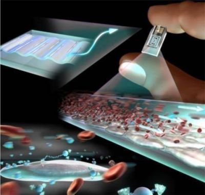 Jornadas de Difusi�n  NANO-BIOTECNOLOG�A APLICADA A LA INDUSTRIA DEL ALIMENTO