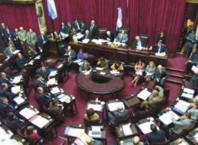 El Senado declara tres d�as de duelo por la muerte del ex presidente Kirchner 