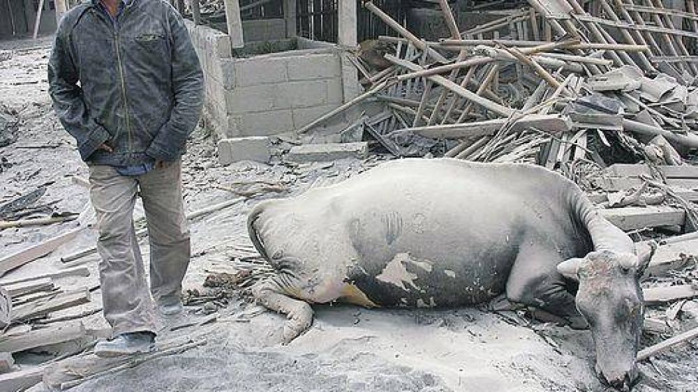 Tsunami en Indonesia: m�s de 300 muertos