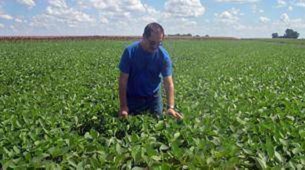 La soja marc� otro r�cord anual