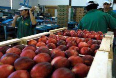 Cosecha frut�cola: vaticinan riesgo de p�rdidas si no hay asistencia oficial