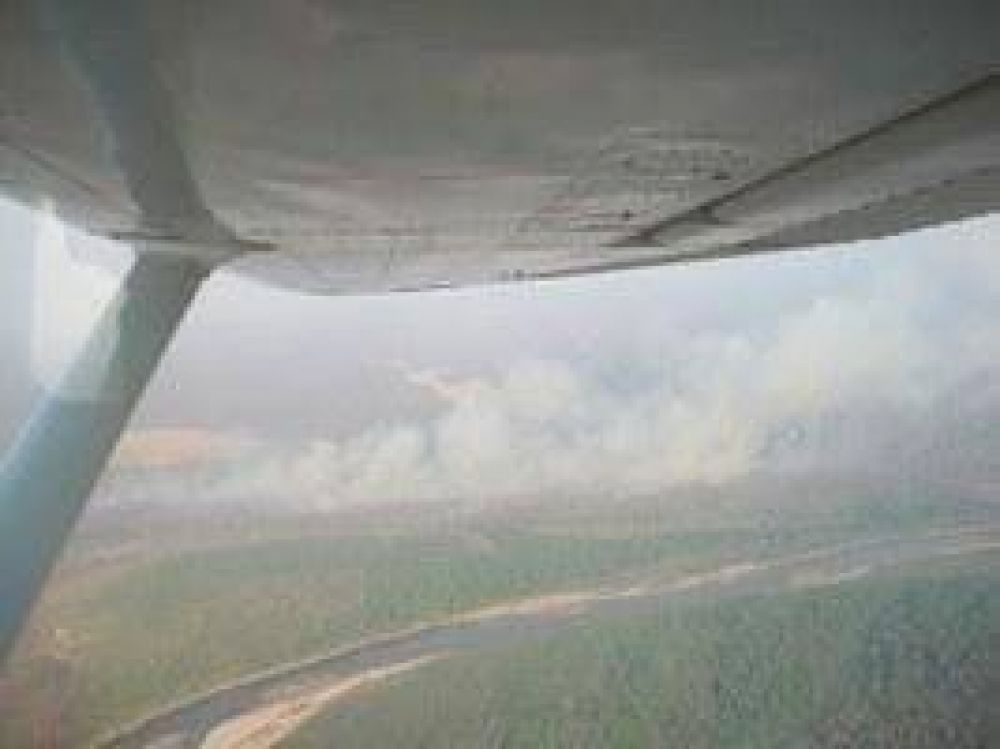Nuevos incendios ya consumieron m�s de 300 hect�reas 