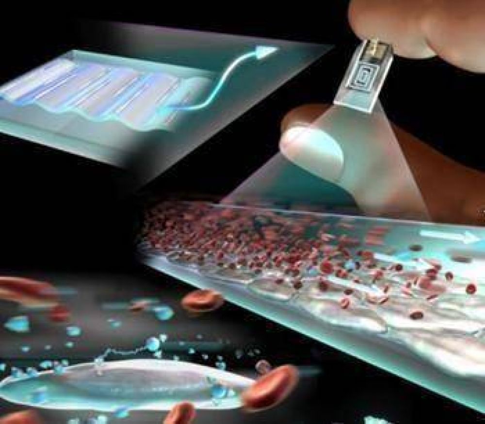 Abiertas a toda la comunidad Se realizar�n jornadas de difusi�n sobre la Nano-Biotecnolog�a