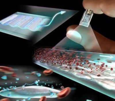 Abiertas a toda la comunidad Se realizar�n jornadas de difusi�n sobre la Nano-Biotecnolog�a